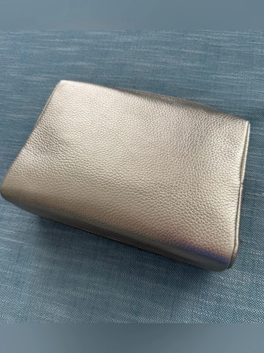 Cuyana Shimmer Metallic Pebbled Leather Tech Organizer Case Bag Monogram LMK